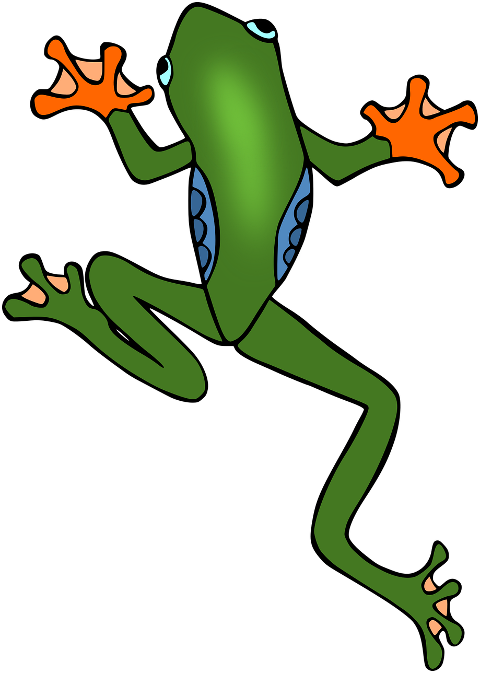 frog-amphibian-animal-tree-frog-6991339