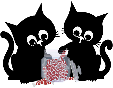cat-kitten-black-cats-pet-animal-9256486