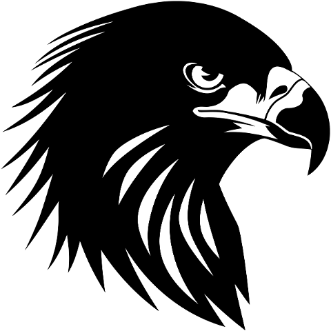 ai-generated-eagle-bird-wildlife-8495187