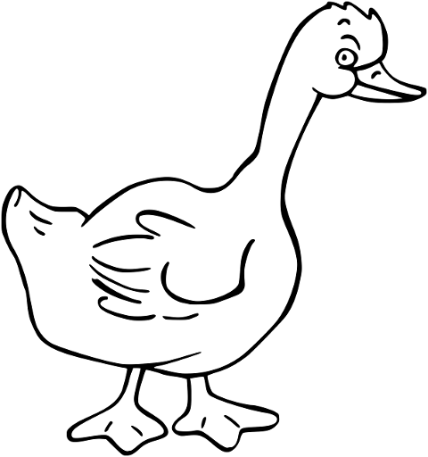 goose-bird-saint-martin-s-day-goose-6122850