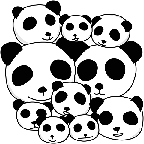 panda-animal-bear-natural-9407925