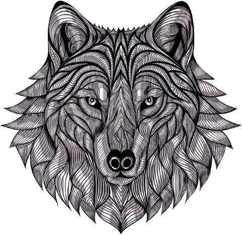 wolf-animal-predator-mammal-canine-8889037