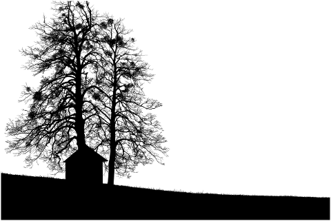 trees-landscape-shed-silhouette-8222306