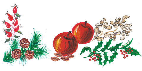 christmas-apples-holly-mistletoe-7677950