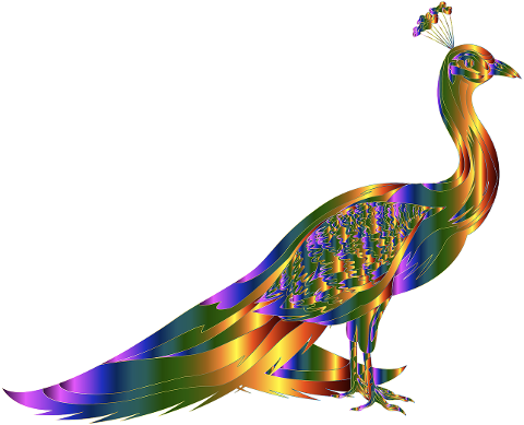 peacock-animal-bird-decoration-6060984