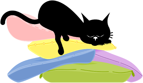 cat-kitten-black-cats-pet-animal-9665989