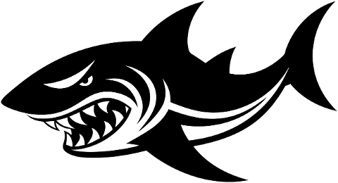 shark-animal-predator-aquatic-8726333