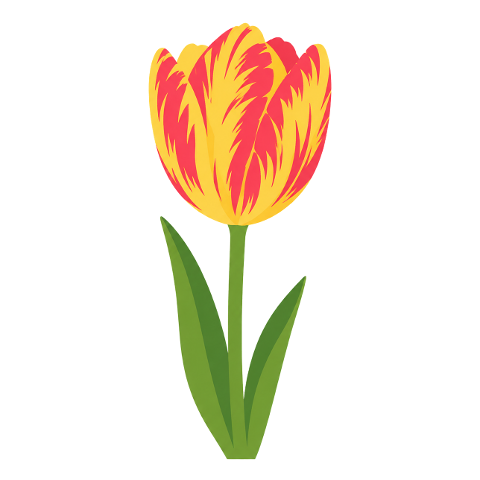 tulip-spring-flower-10366978