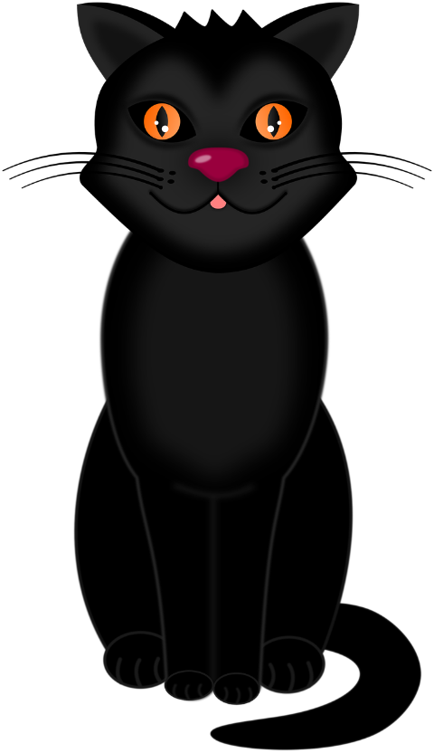 cat-animal-halloween-pet-black-cat-7488298