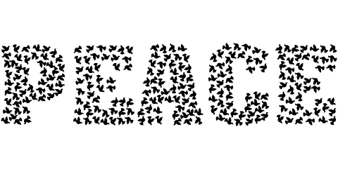 peace-dove-typography-harmony-8159585