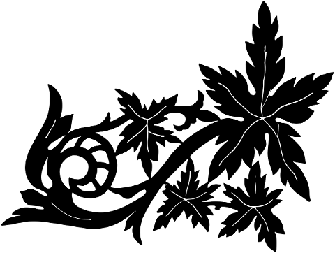 ornament-design-flourish-silhouette-7923641