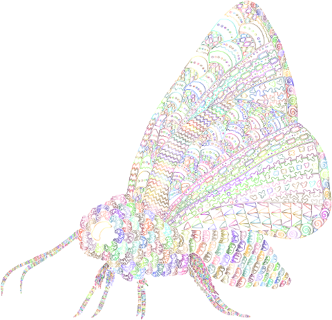 moth-insect-animal-decorative-8261340