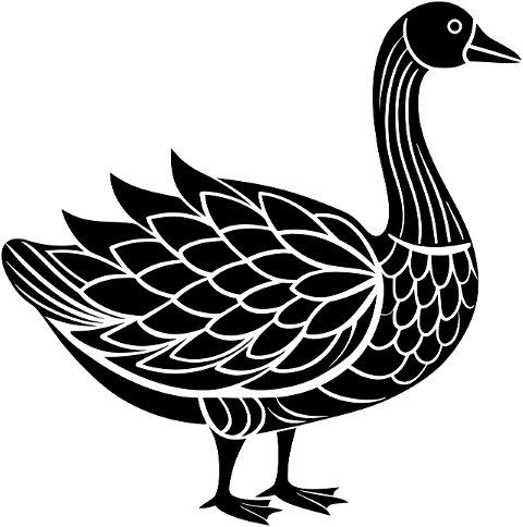 goose-bird-animal-ornithology-8799266