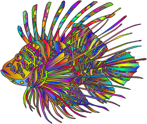 fish-animal-colorful-scales-6471745