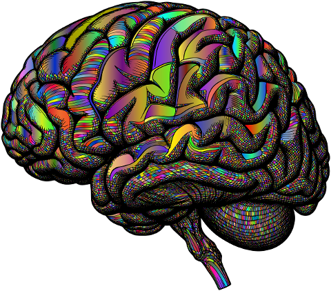 brain-mind-head-psychology-9026010