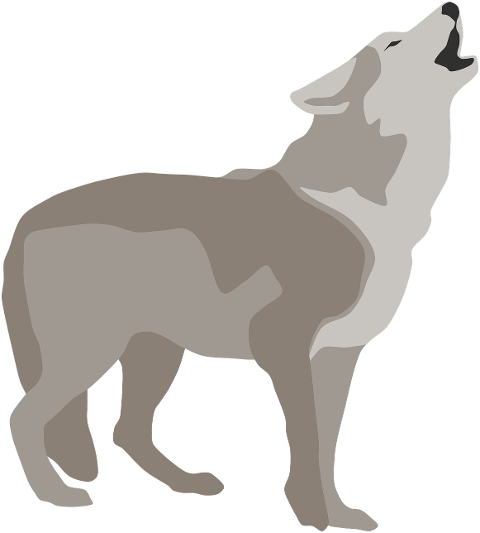 wolf-howl-dog-predator-flat-design-7405608