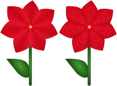 flowers-spring-red-flower-petals-7212517