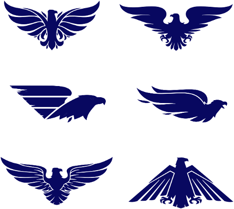 birds-logo-spiritual-eagles-hawks-6577860