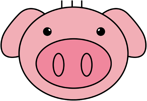 pig-head-pig-animal-mammal-7066344
