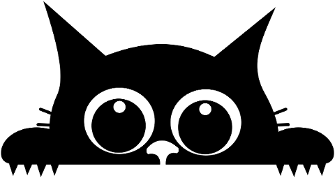 cat-kitten-black-cat-feline-cute-8776257