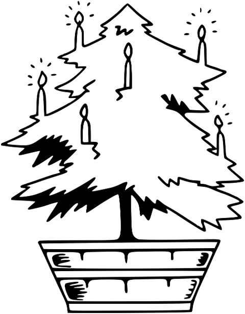 christmas-tree-christmas-7693311