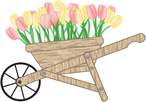 tulips-wheelbarrow-flowers-spring-7834344