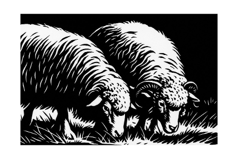 sheep-art-linocut-style-9940829