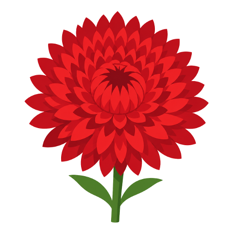 strawflower-red-color-flower-10363393