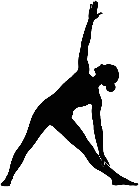 yoga-triangle-pose-reverse-triangle-9976955