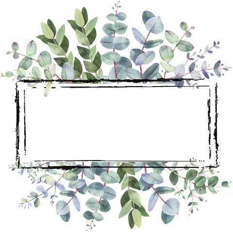 frame-leaves-decorate-cut-out-6538121