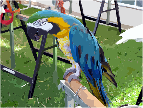 parrot-bird-perch-colourful-7260687