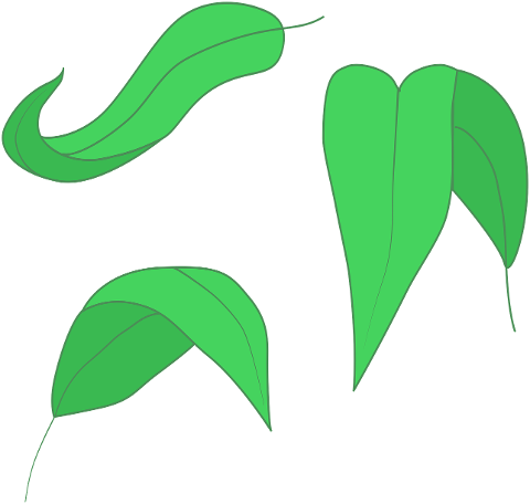 green-leaf-leaf-illustration-10499865