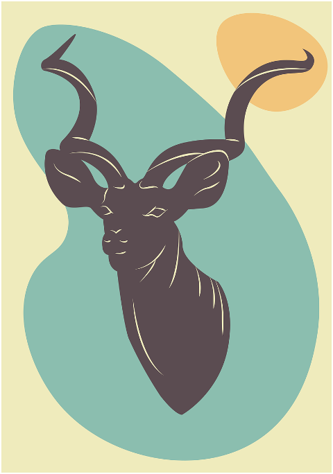 kudu-animal-head-horns-antelope-6276718