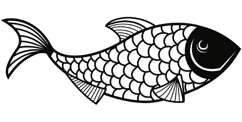 fish-animal-line-art-scales-5965349