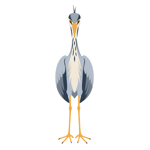 heron-gray-heron-bird-wading-bird-10377367
