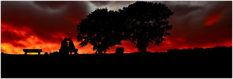 sunset-trees-bench-couple-romance-5036732
