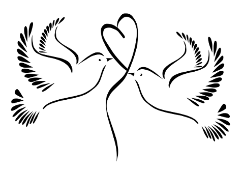 pigeons-black-white-wedding-heart-4876900