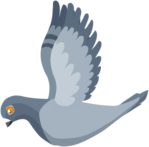 pigeon-dove-bird-feathers-animal-5508878