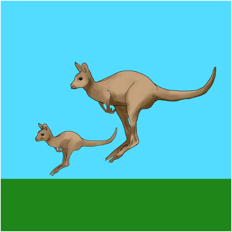 kangaroo-animals-joey-australia-5168011