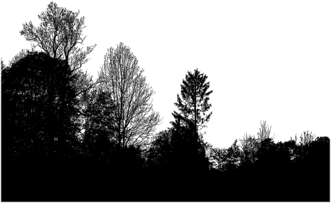 forest-trees-silhouette-branches-5207127