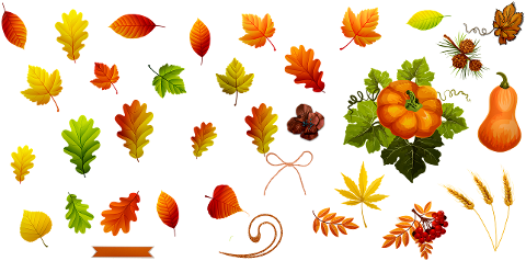 fall-leaves-autumn-leaf-nature-4393888