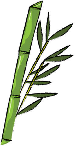 bamboo-cane-plant-grass-flora-5023707