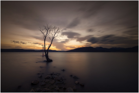 long-exposure-lake-tree-water-4619053