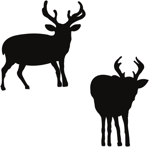 deer-silhouette-moose-deer-elk-4880955