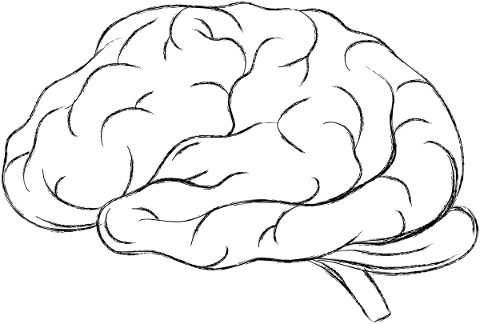brain-think-psychology-a-i-ai-5159705