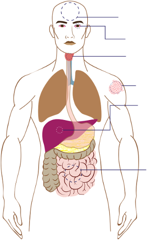 symptoms-sick-bless-you-medicine-4931625