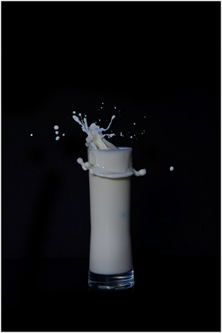 milk-glass-of-milk-glass-drink-5097144