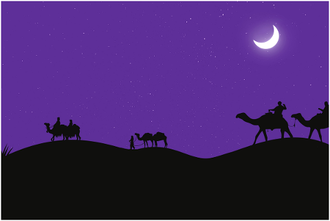 camels-desert-moon-cameleer-5605985