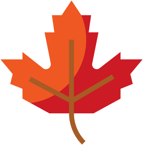 leaf-canada-maple-symbol-color-5277008