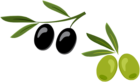 olive-green-olives-oil-food-5116310